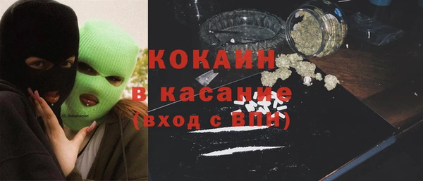 прущие грибы Баксан