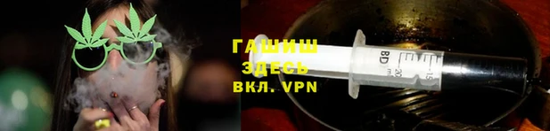 прущие грибы Баксан