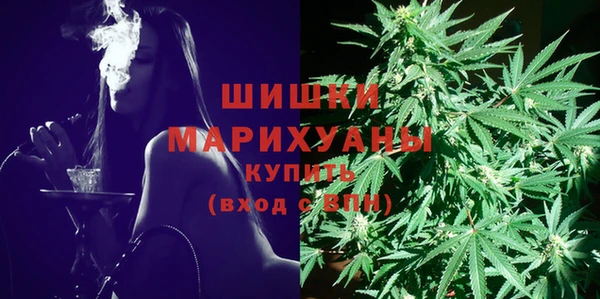 прущие грибы Баксан