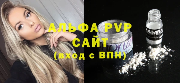 прущие грибы Баксан