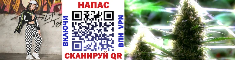 как найти Нестеров Марихуана MAZAR
